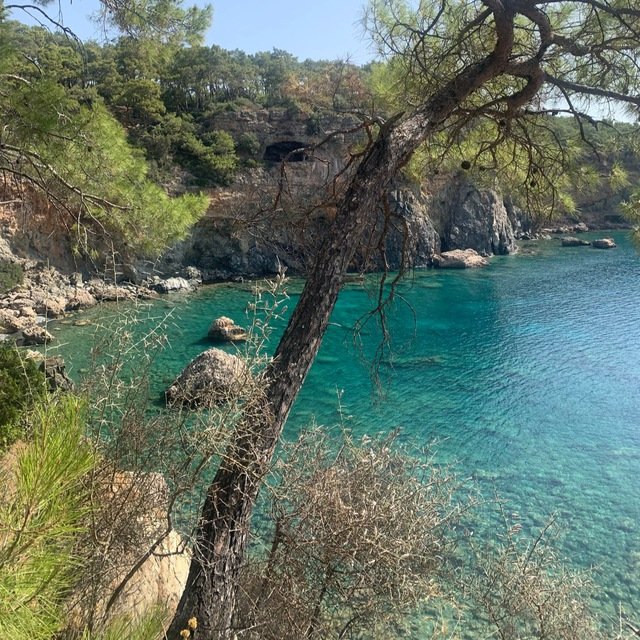 Путешествуем вместе — тг канал