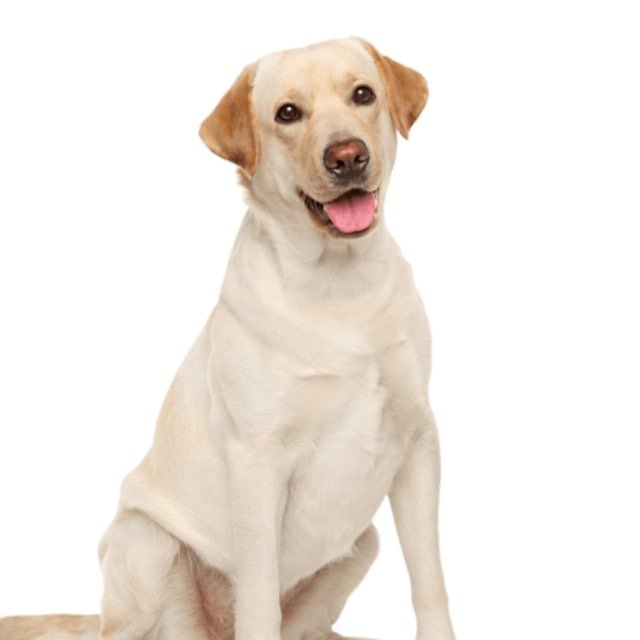 бугор 🤣 — тг канал